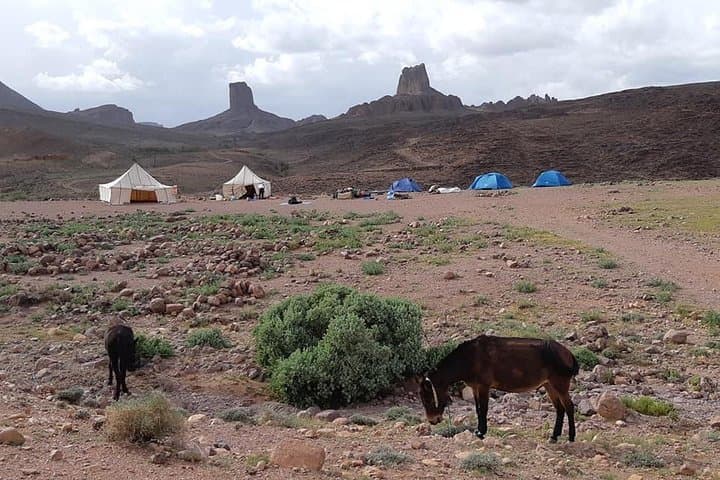 8-Day Jebel Saghro Trek: Berber Camps, Mules & Summit photo 5