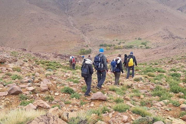 8-Day Jebel Saghro Trek: Berber Camps, Mules & Summit photo 6