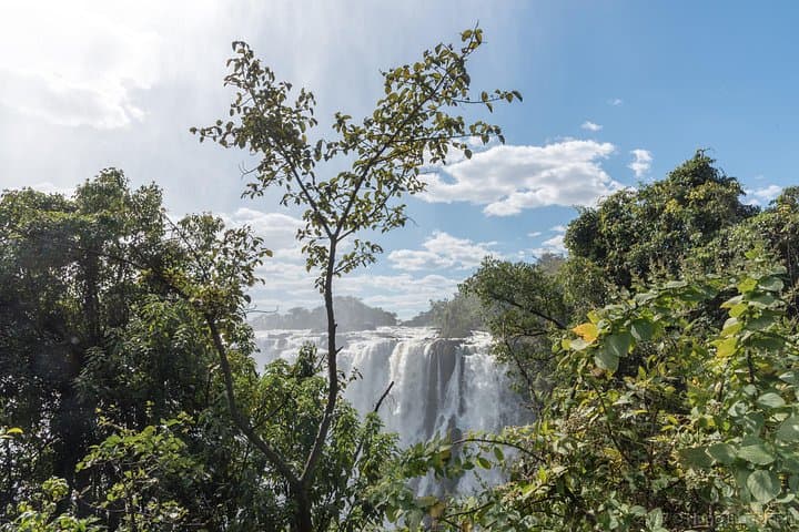 Victoria Falls Tour — Guided Livingstone Visit to the Boiling Pot & Rainforest photo 4