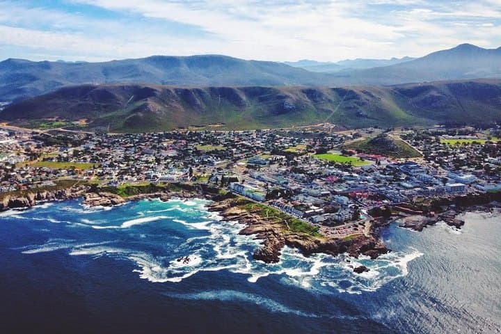 Hermanus Whale Watching & Hemel-en-Aarde Wine Day Trip from Cape Town photo 3