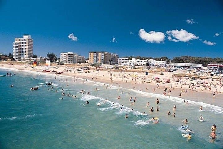 Port Elizabeth Wildside Scenic Drive: Coastal Views, Penguins & Dune Country