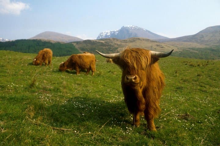 3-Day Isle of Skye, Highlands & Jacobite Steam Train Tour from Edinburgh photo 6