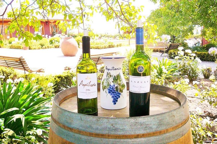 Valparaiso & Casablanca Wine Day Trip from Santiago: Private Tour Guide photo 5
