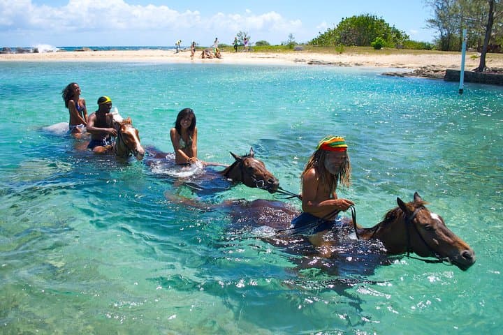 Irie Blue Hole and Horseback Swim Adventure from Montego Bay photo 6