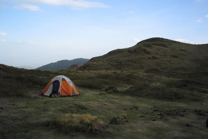 Menz Guassa 5-Day Trek — Ethiopian Highlands Trekking, Geladas & Ethiopian Wolf
