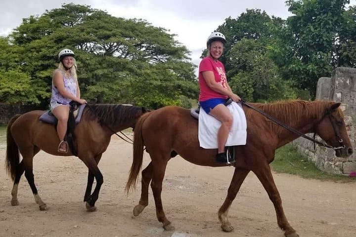 Saddles, Salt, and Sun