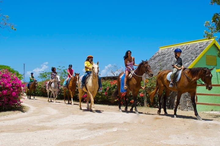 Horseback Ride and Caribbean Swim from Kingston to Seville Heritage Park photo 4