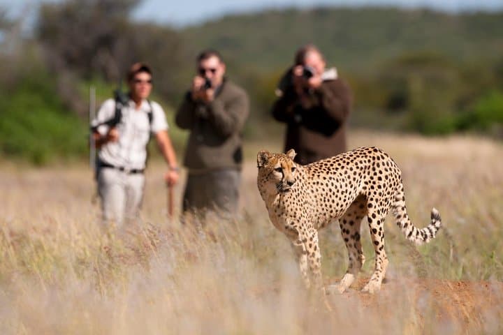 Namibia Express Safari: 6-Day Sossusvlei, Swakopmund & Etosha Wildlife Tour photo 5