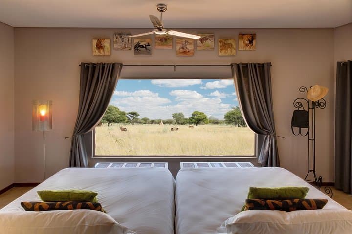 Taste of Namibia: 8-Day Classic Safari from Windhoek photo 2
