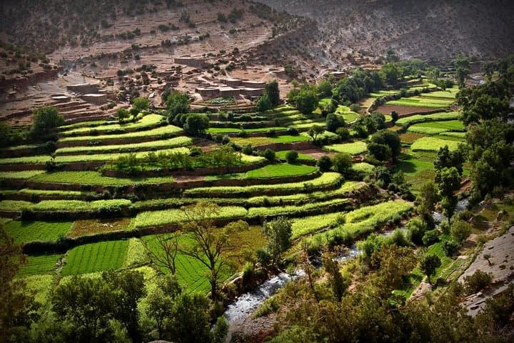 Ourika Valley Day Trip from Marrakech: Setti Fatma Waterfalls & Berber Culture photo 1