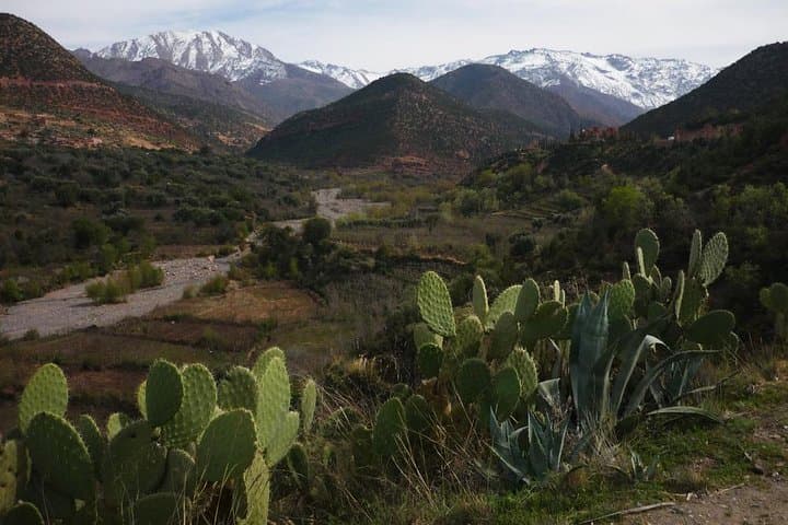Ourika Valley Day Trip from Marrakech: Setti Fatma Waterfalls & Berber Culture photo 3