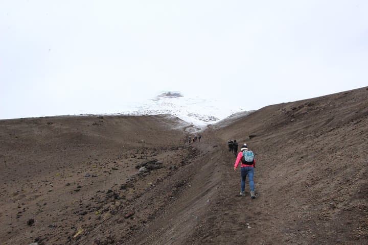 Full-Day Cotopaxi National Park Excursion from Quito — Volcano, Laguna & High-Andean Hikes photo 3