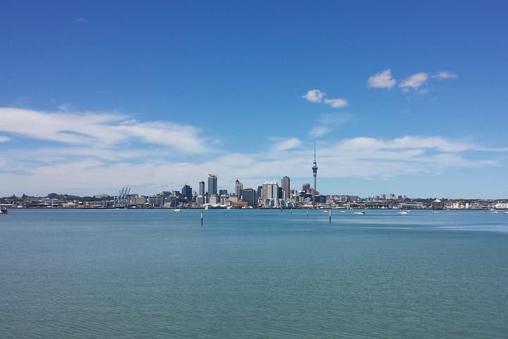 Auckland City Morning Discovery: Small-Group Tour to Devonport, Mt Victoria & Westhaven Marina photo 4