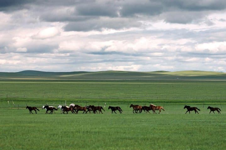 Hulun Buir Prairie 3-Day Private Grassland Tour: Morigele River, Enhe & Manzhouli photo 2