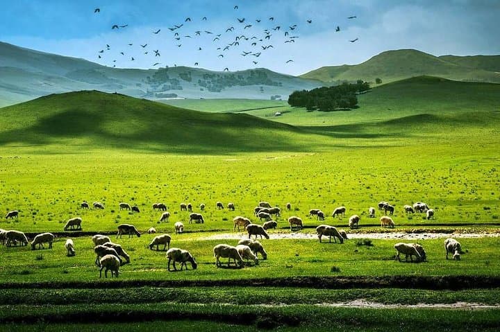Hulun Buir Prairie 3-Day Private Grassland Tour: Morigele River, Enhe & Manzhouli photo 3
