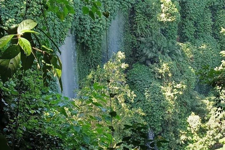 Discover Benang Stokel and Benang Kelambu: Central Lombok Waterfall Trek photo 4