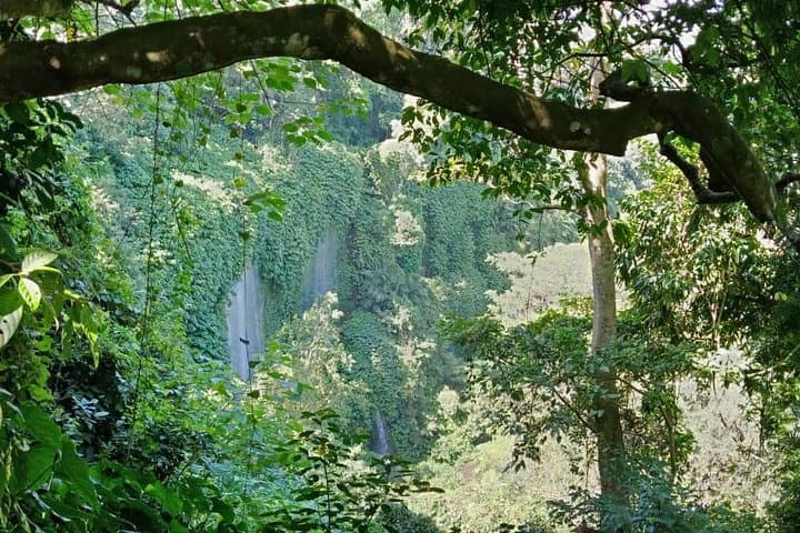 Discover Benang Stokel and Benang Kelambu: Central Lombok Waterfall Trek photo 5