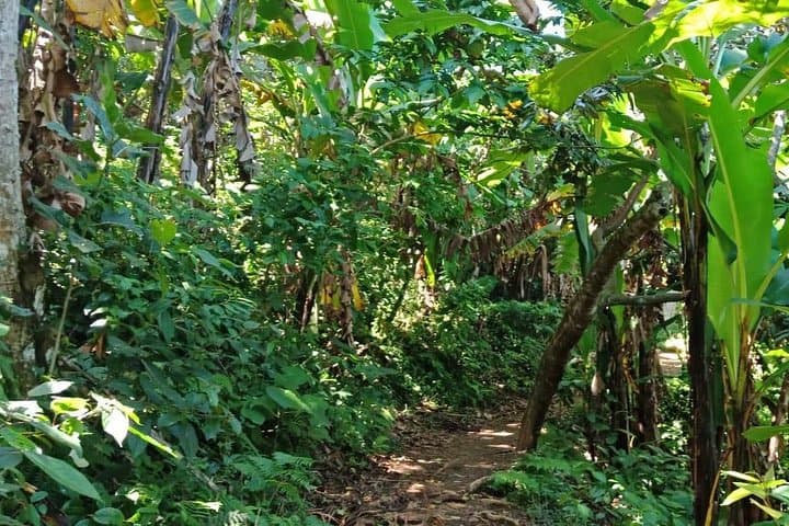 Discover Benang Stokel and Benang Kelambu: Central Lombok Waterfall Trek photo 6