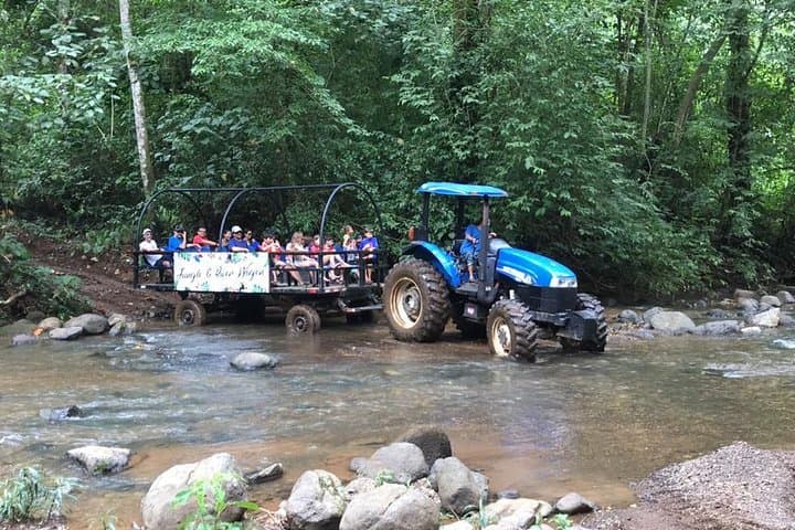 puntarenas-jungle-and-river-wagon-expedition-tarcoles-crocodiles-and-birding