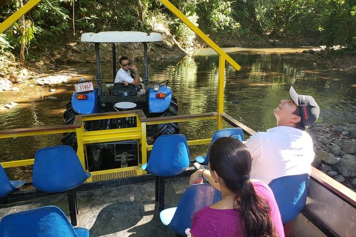 puntarenas-jungle-and-river-wagon-expedition-tarcoles-crocodiles-and-birding photo 4