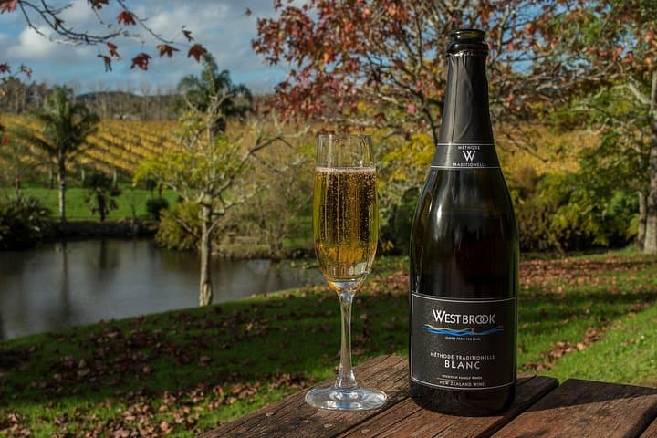 Kumeu Wine Country Half-Day Tour: Tastings, Lunch & Muriwai Gannets photo 1