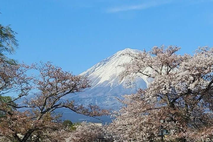Mt Fuji Chartered Taxi Tour: Shiraito Falls, Fujinomiya Sengen Shrine & Miho no Matsubara