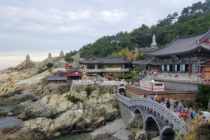 Discover Busan's Dynamic Charm: A Private Shore Excursion