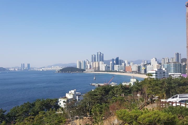 Discover Busan's Dynamic Charm: A Private Shore Excursion photo 3