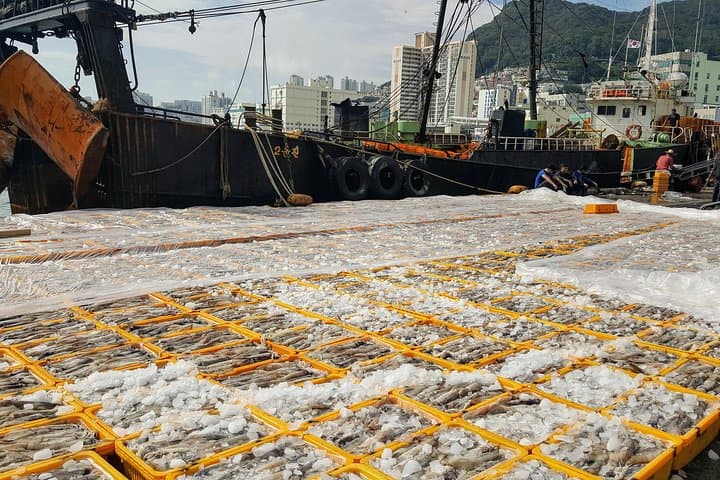 Discover Busan's Dynamic Charm: A Private Shore Excursion photo 5