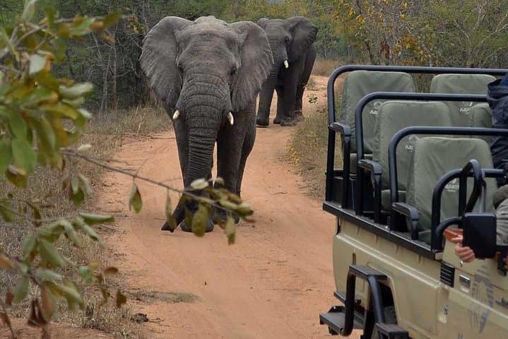4-Day Kapama Safari & Panorama Route: Private Greater Kruger Game Lodge Experience photo 3