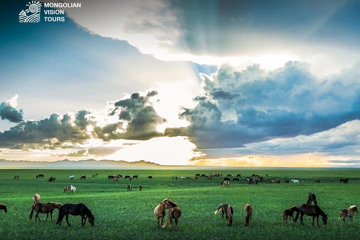 7-Day Mongolian Heartland: Horse Treks, Khorgo Volcano & Takhi Wildlife photo 3