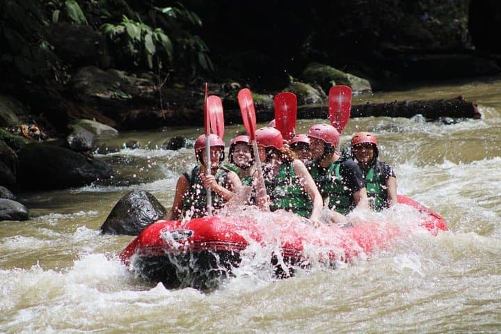 Full-Day Ayung River Rafting and Ubud Monkey Forest: All-Inclusive Adventure photo 2