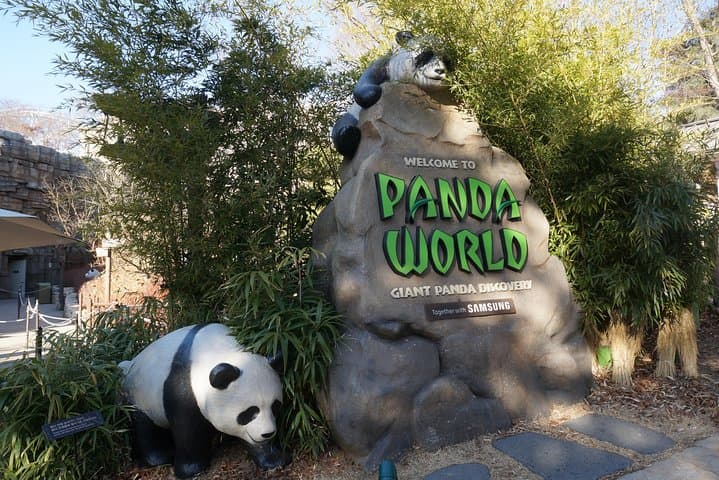 Everland Private Shuttle: Full-Day Private Tour From Seoul to Korea's Largest Theme Park photo 2
