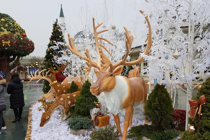 Everland Private Shuttle: Full-Day Private Tour From Seoul to Korea's Largest Theme Park photo 5