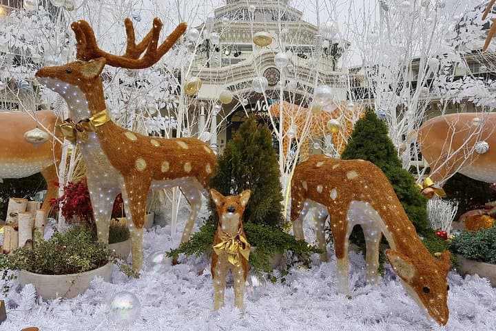 Everland Private Shuttle: Full-Day Private Tour From Seoul to Korea's Largest Theme Park photo 6