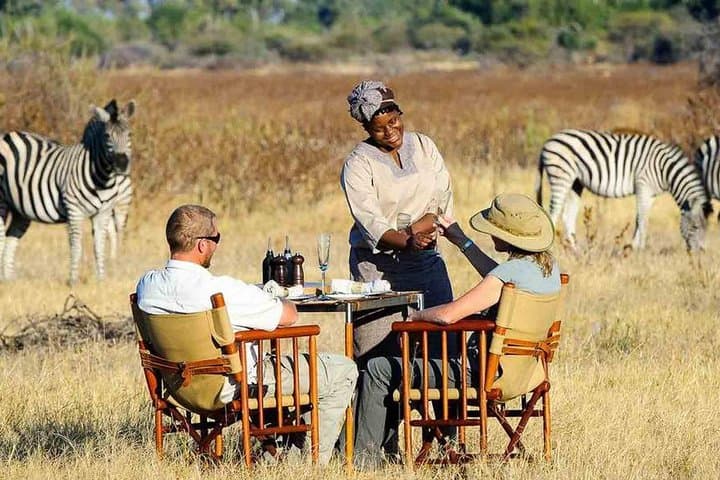 Cape Town 2-Day Aquila Safari and Robben Island Getaway photo 4