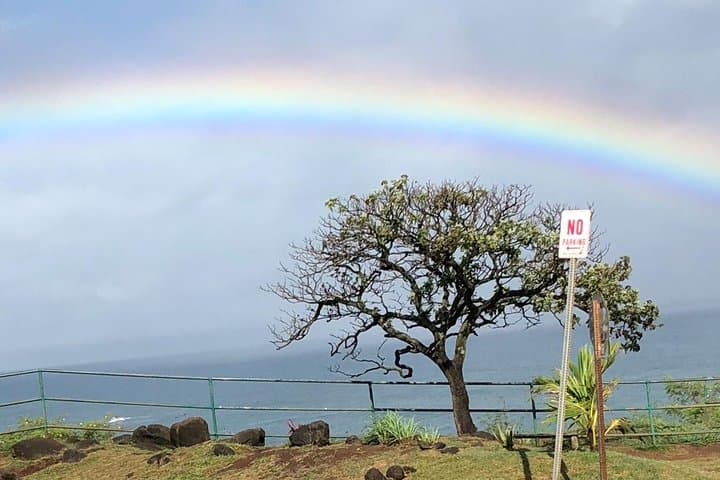 Iao Valley, Ocean Vodka & Aliʻi Kula Lavender Tour — Maui 5‑Hour Cultural Drive photo 2