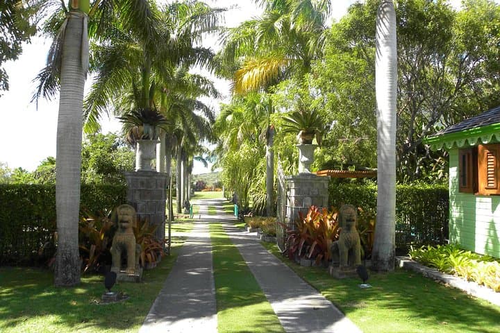 Discover Nevis: Private 3.5‑Hour Island Tour from Charlestown photo 4