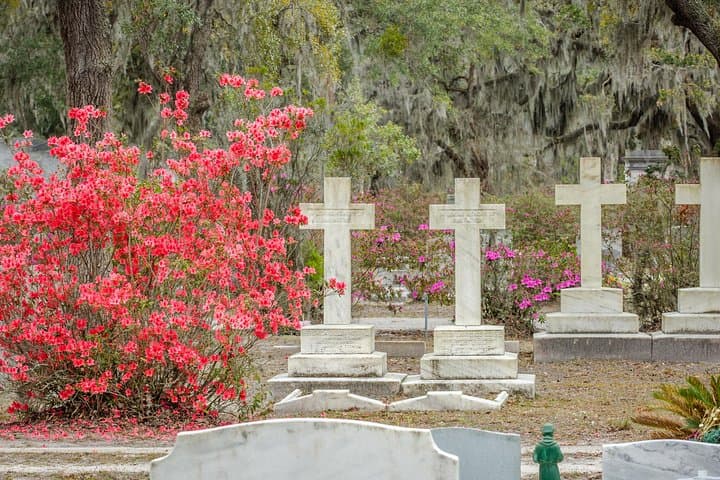 Exploring Savannah’s History: Bonaventure Cemetery and Wormsloe State Historic Site Tour photo 6