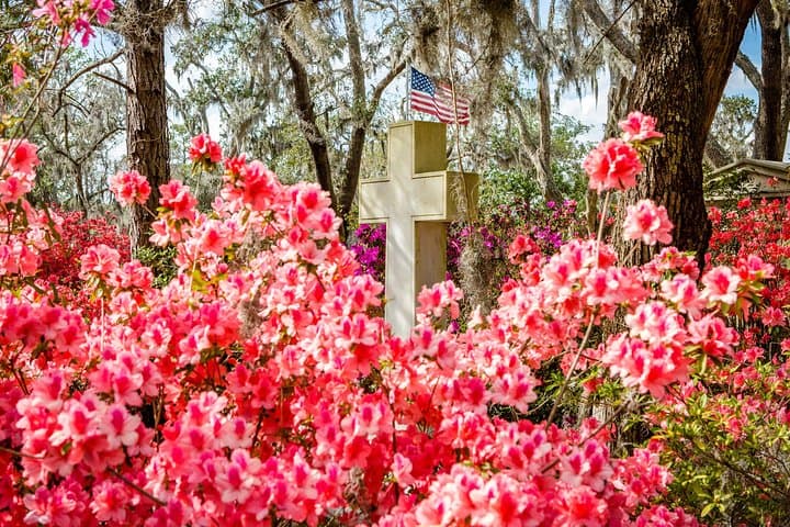 Exploring Savannah’s History: Bonaventure Cemetery and Wormsloe State Historic Site Tour photo 3