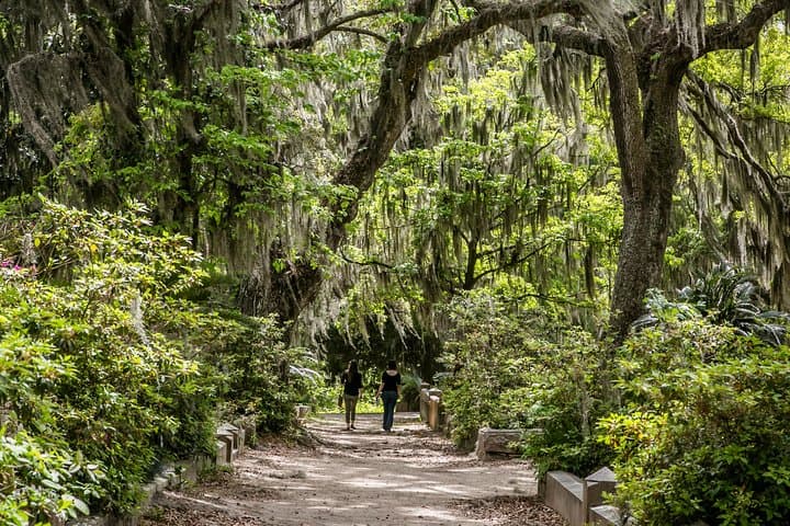Exploring Savannah’s History: Bonaventure Cemetery and Wormsloe State Historic Site Tour photo 2
