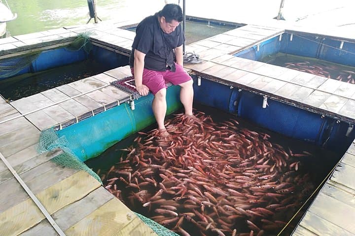 Galle Rickshaw Sightseeing: Private 5‑Hour Tuk‑Tuk Tour to Turtle Hatchery, Stilt Fishermen & Cinnamon Island photo 6