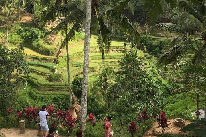 Balinese Life Style Tour: Ubud Rice Terraces, Tirta Empul & Mount Batur Day Trip photo 4