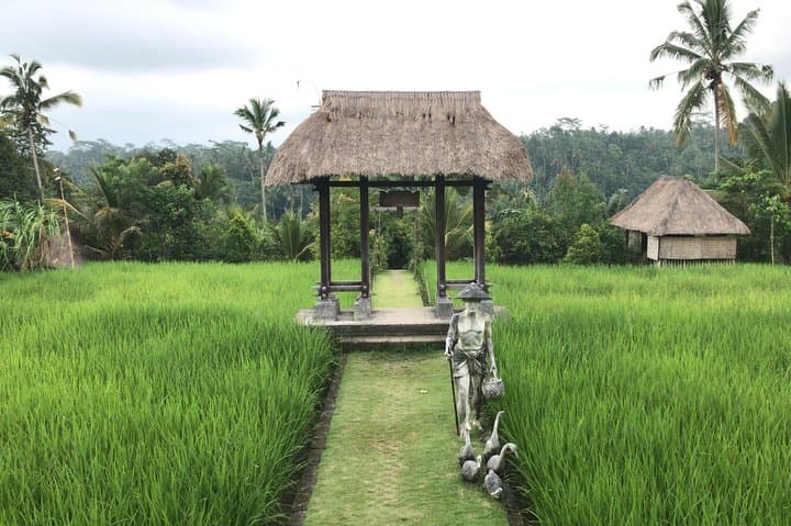 Balinese Life Style Tour: Ubud Rice Terraces, Tirta Empul & Mount Batur Day Trip photo 5