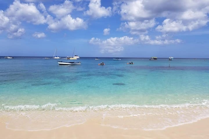 Folkestone Clear Kayak Tour — Reef & Wreck Kayaking in Barbados photo 2