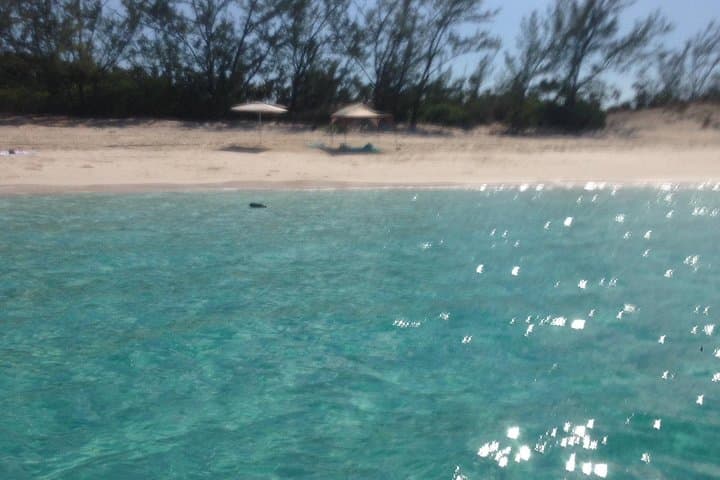 Half-Day Snorkeling Tour in the Bahamas — Reefs, Turtles & Secluded Beach photo 3