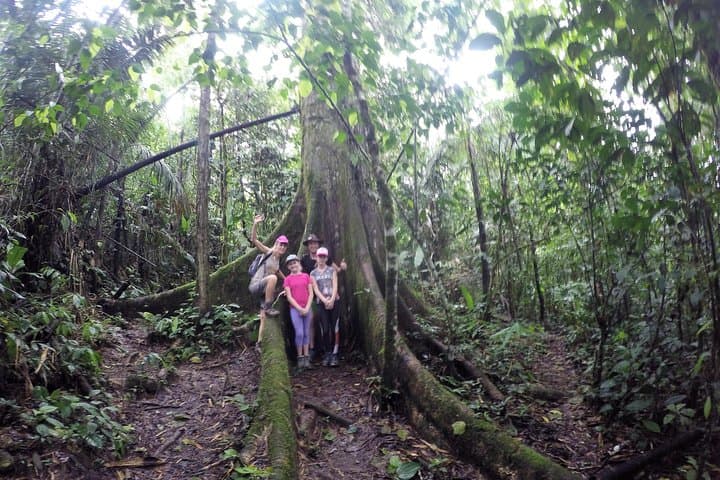 Puyo Jungle Full-Day Adventure: Amazon Wildlife, Waterfalls & Canoe photo 3