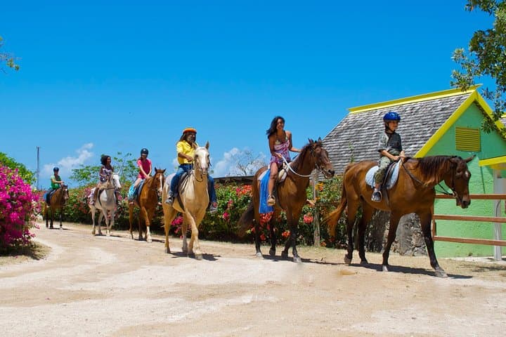 Braco Stables Horseback Ride & Swim — Montego Bay Day Tour photo 3