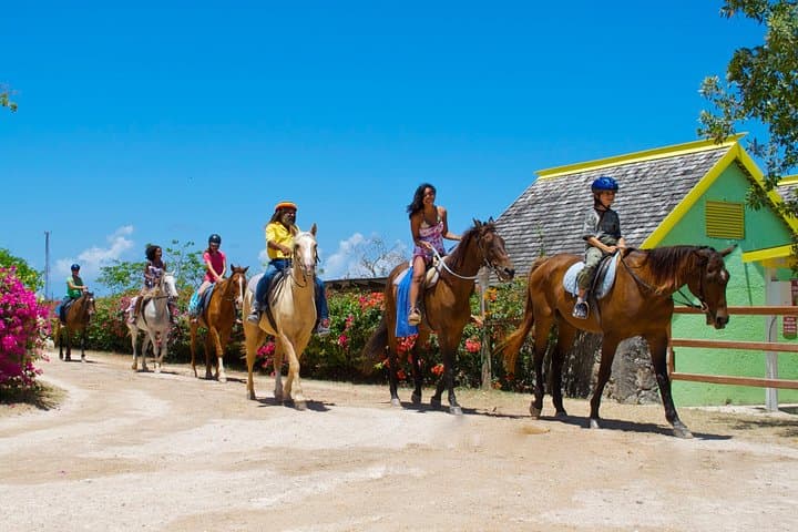 Horseback Ride and Swim at Runaway Bay: Braco Stables Sand n Saddle Experience photo 4