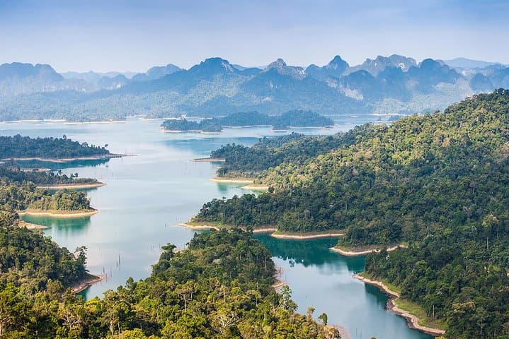 Khao Sok Full-Day Rainforest Trek and Bamboo Rafting from Krabi photo 5
